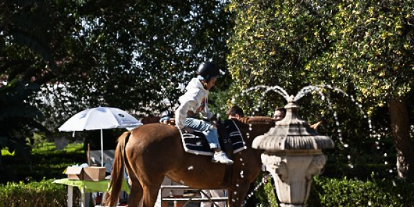 Captura de ecrã 2024-09-18 110559